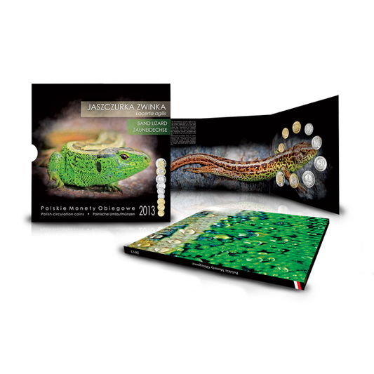 Blister - Polskie Monety Obiegowe - 2013 rok